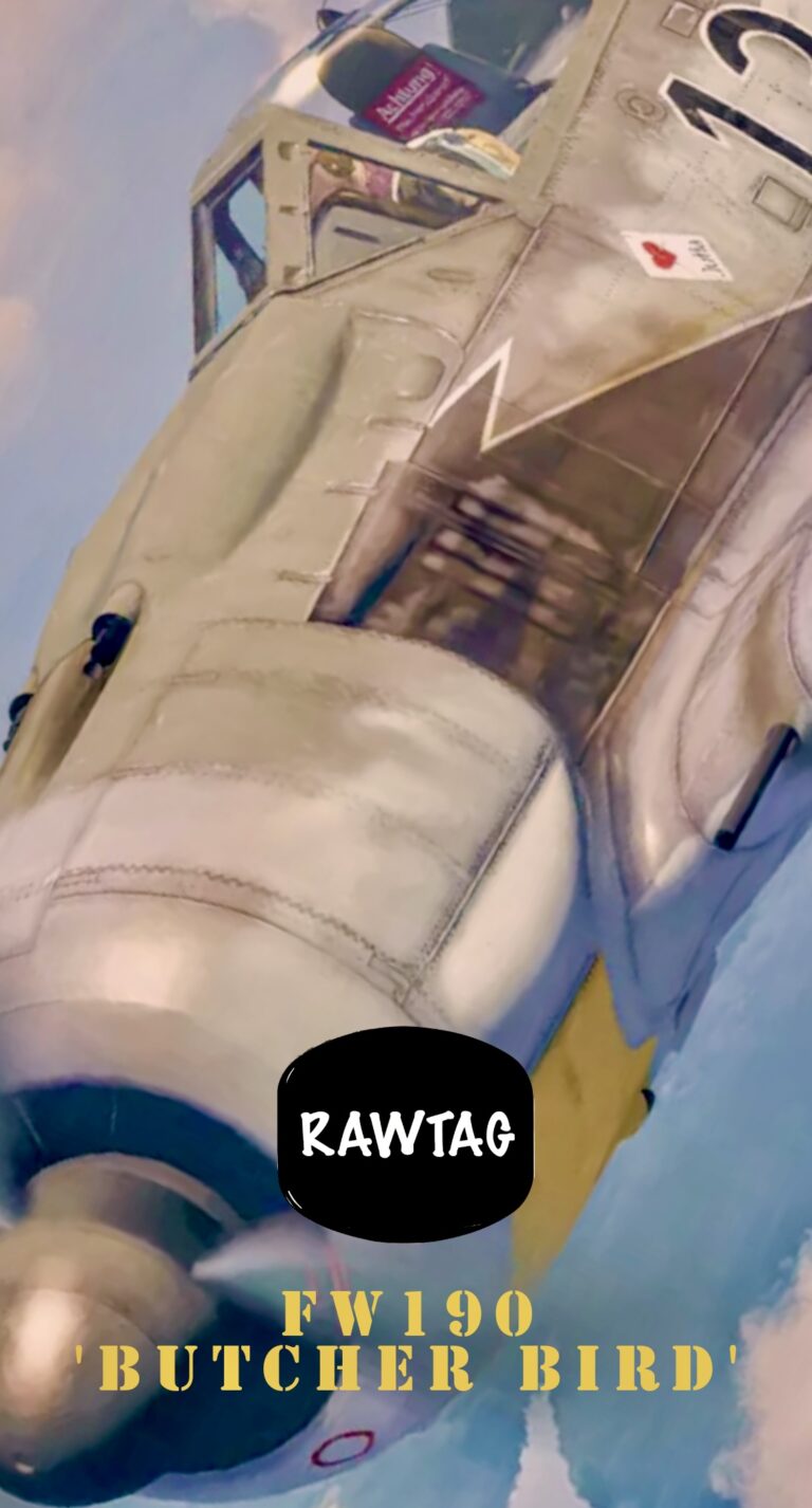 RAWTAG #29: FOCKE-WULF FW190 ‘BUTCHER BIRD’