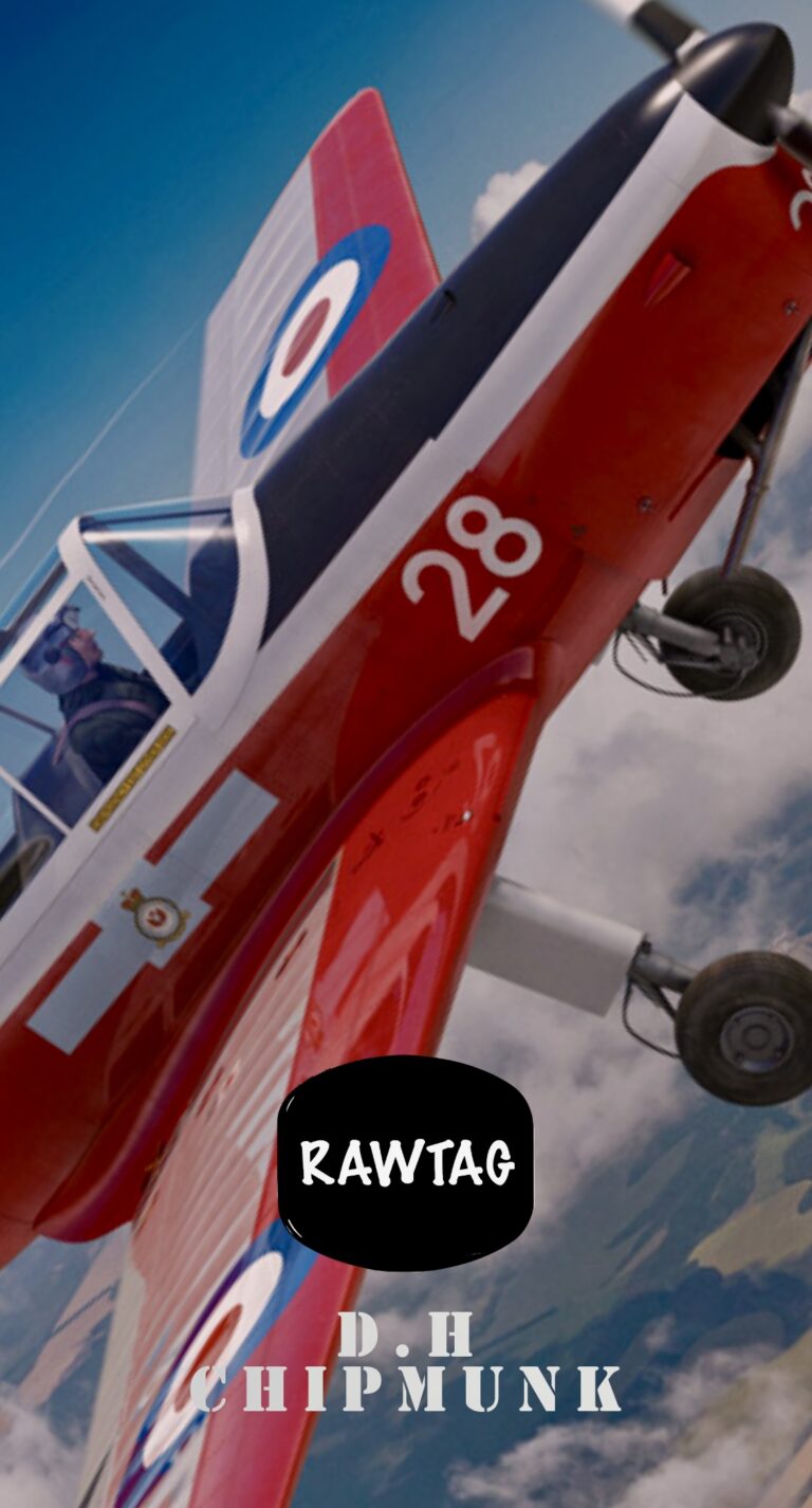 RAWTAG #31: CHIPMUNK FABRIC ROUNDEL.